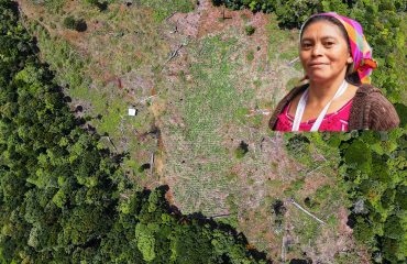 Ilustración 1. Área de bosque talado en zona productora de agua El Ocotillal.